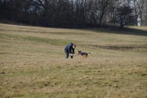 17.02.2019 Training Nanzenbach